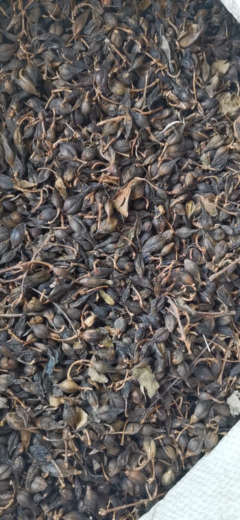 连翘对接各大电商，各大药材批发市场一件代发