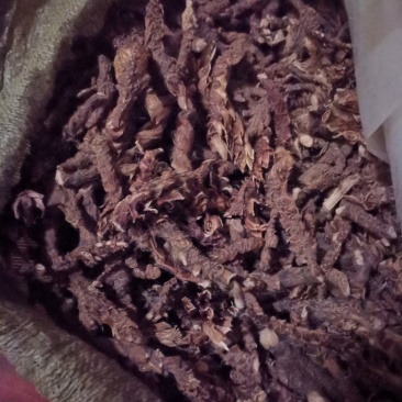 精品石菖蒲，干货量大质优，保质保量药用价值高，对接全国