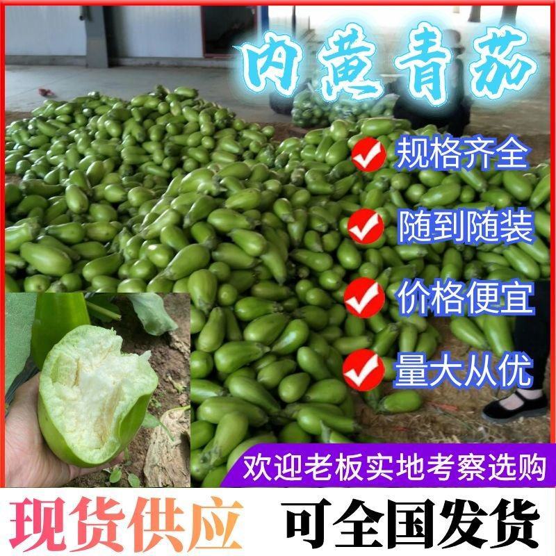 青茄，0.5斤以上，基地直供，质量好价格低，一条龙服务
