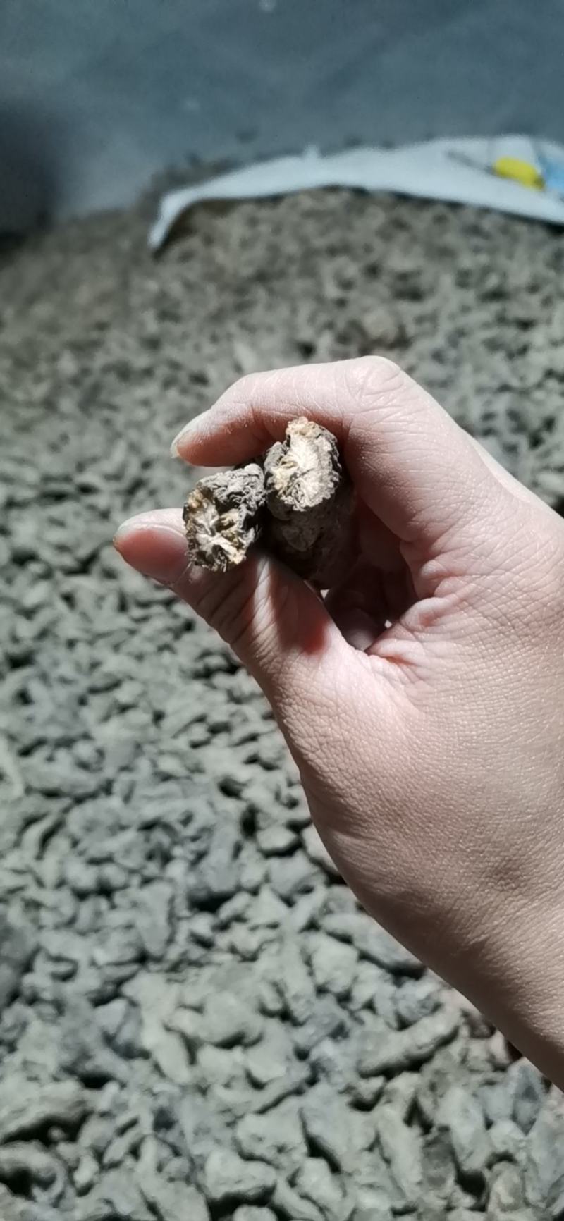 生地批发各大电商一件代发药厂供应