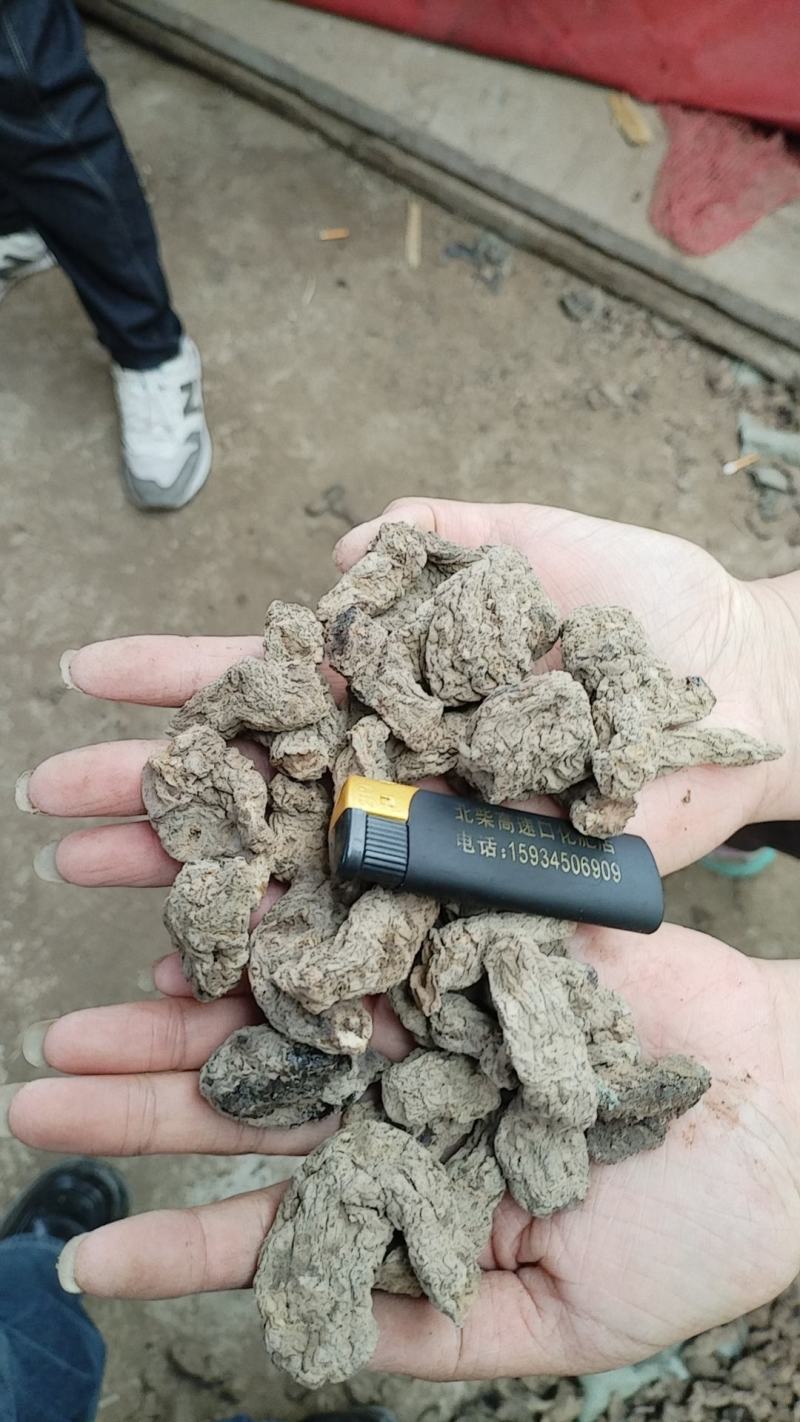 生地批发各大电商一件代发药厂供应