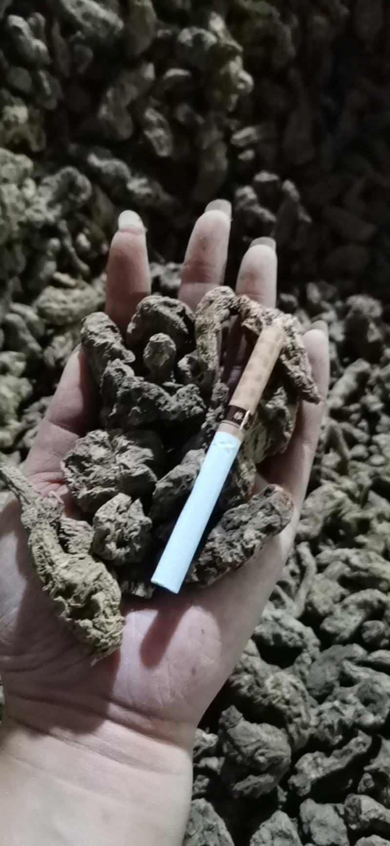 生地批发各大电商一件代发药厂供应