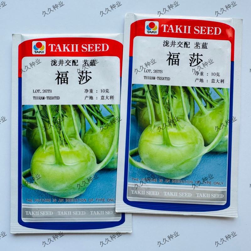 福莎苤蓝种子泷井交配苤蓝早熟耐抽苔脆甜苤兰种子糠心晚