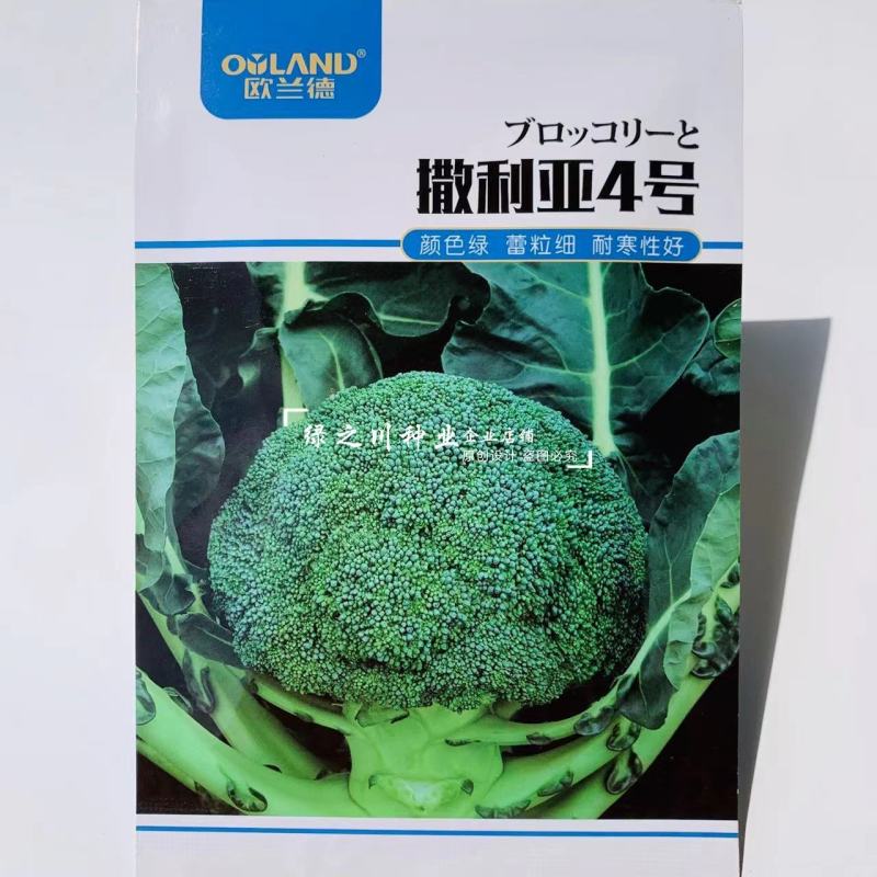 欧兰德撒利亚4号西蓝花种子耐青花菜种子颜色绿西兰花种子