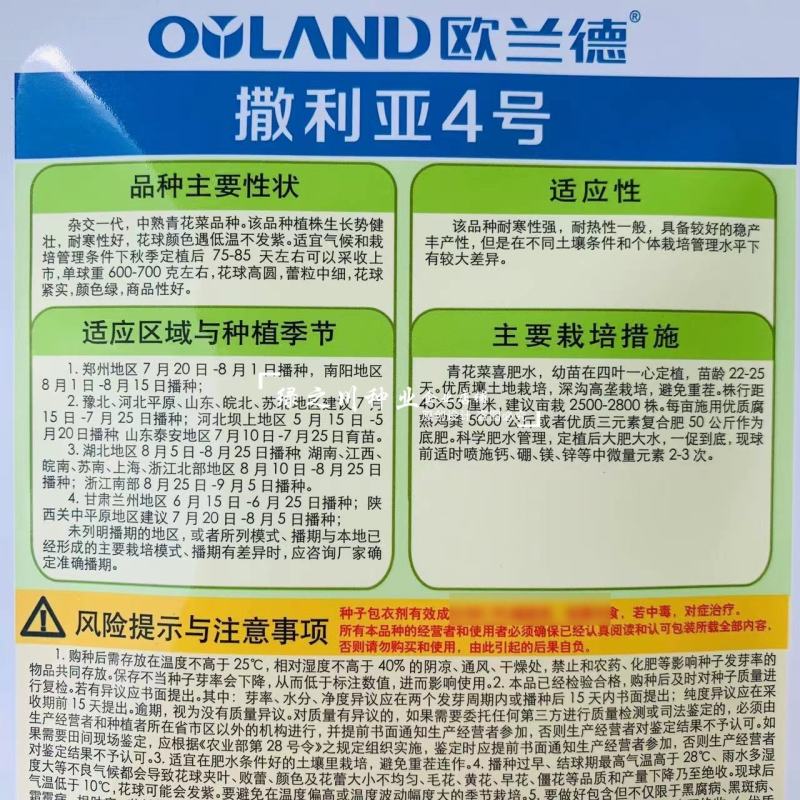 欧兰德撒利亚4号西蓝花种子耐青花菜种子颜色绿西兰花种子