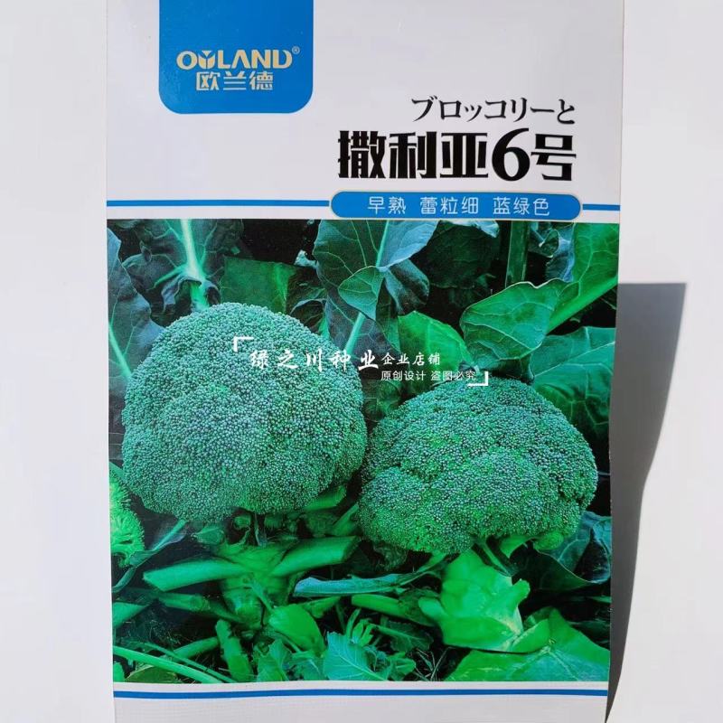 欧兰德撒利亚6号西兰花种子早熟低温不易发紫青花菜种子
