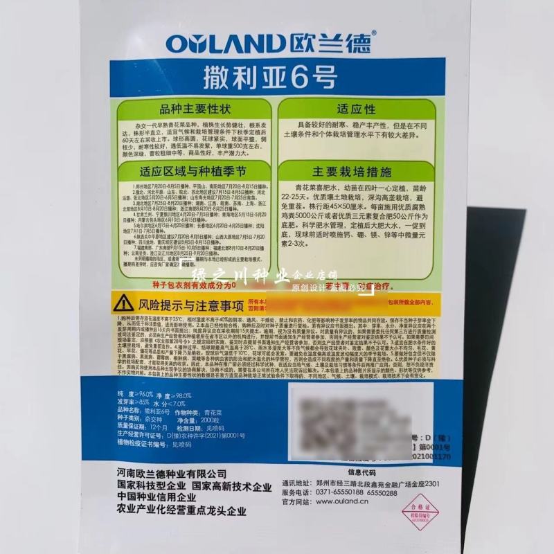 欧兰德撒利亚6号西兰花种子早熟低温不易发紫青花菜种子