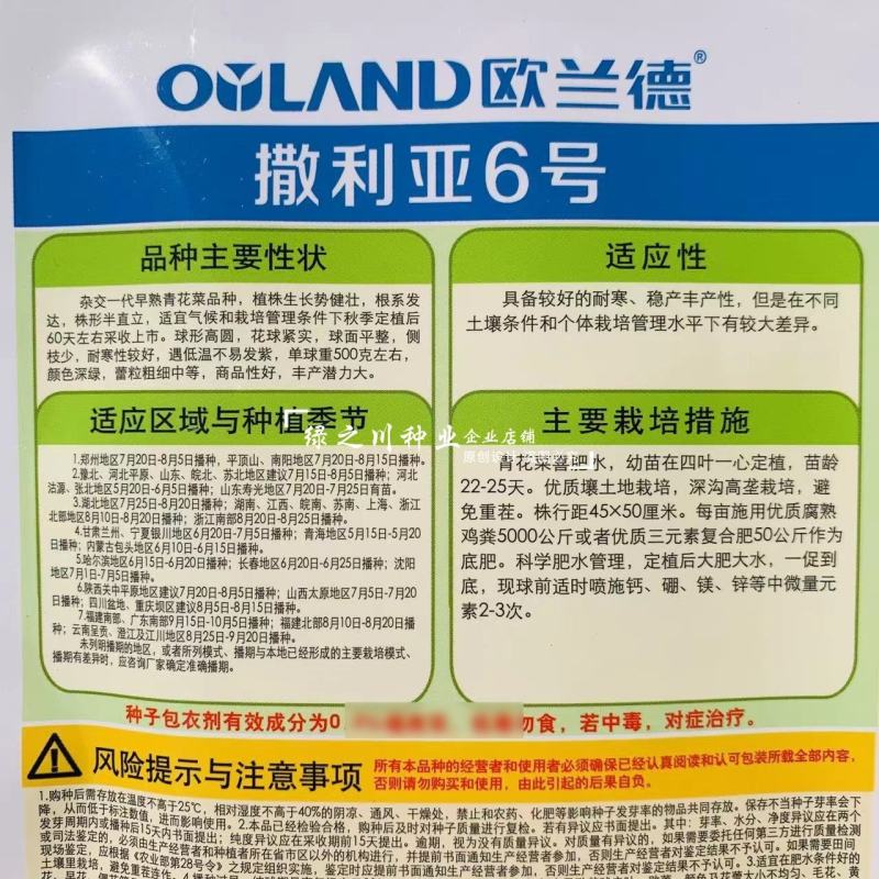 欧兰德撒利亚6号西兰花种子早熟低温不易发紫青花菜种子