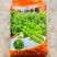 义天晟中豌8号豌豆种子春秋播种白花水果型长寿仁甜豌豆种籽