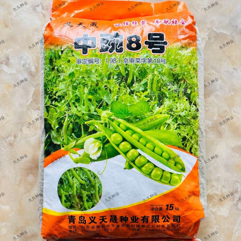 义天晟中豌8号豌豆种子春秋播种白花水果型长寿仁甜豌豆种籽