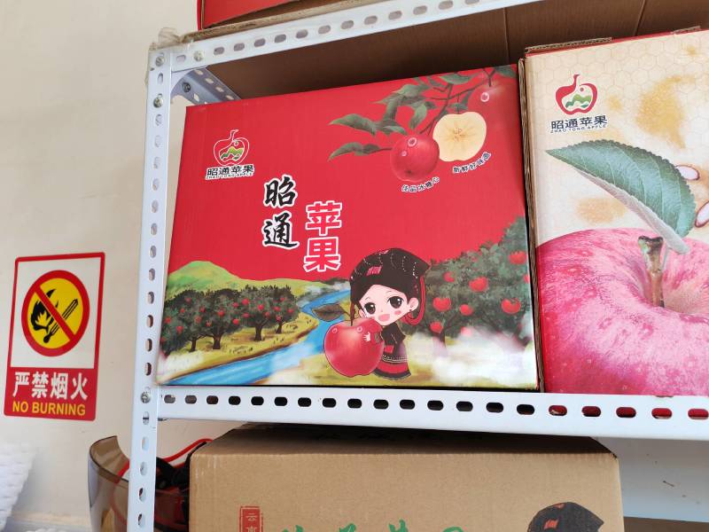 【精选】云南昭通红富士苹果现摘现发脆甜多汁欢迎咨询合作