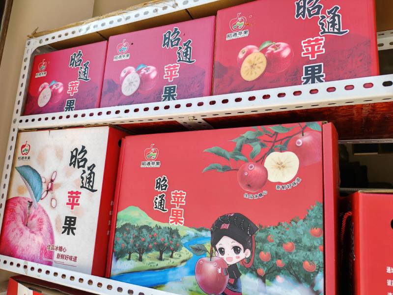 【精选】云南昭通红富士苹果现摘现发脆甜多汁欢迎咨询合作
