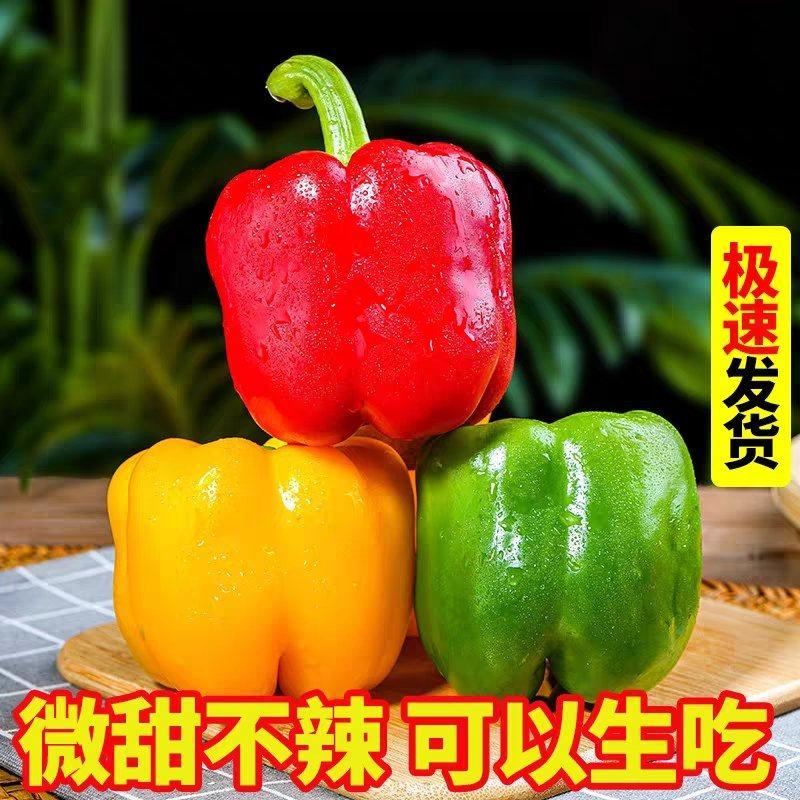太空椒美人椒软香辣软湘辣彩椒产地看货论价保质