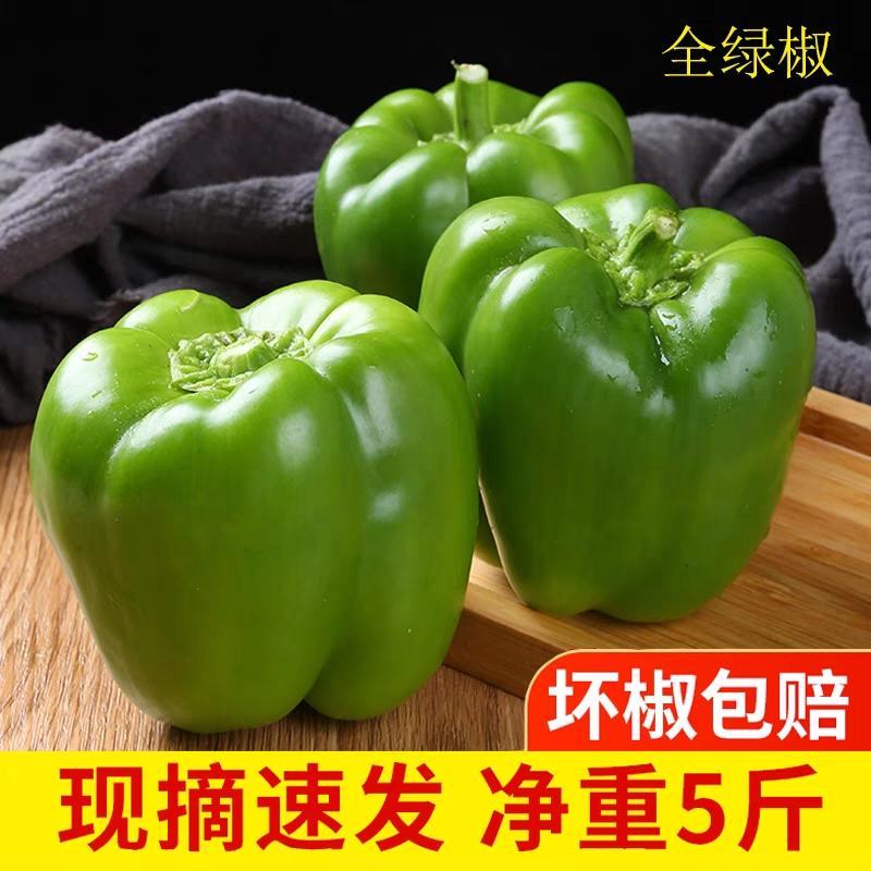 太空椒美人椒软香辣软湘辣彩椒产地看货论价保质