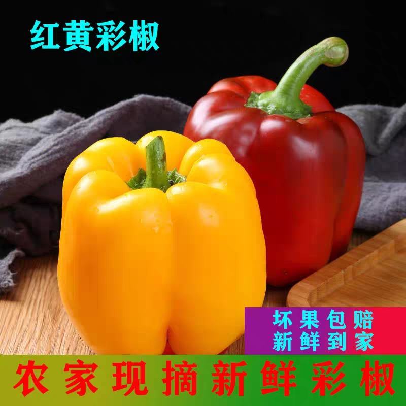 太空椒美人椒软香辣软湘辣彩椒产地看货论价保质
