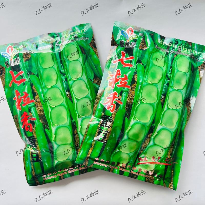 七粒香蚕豆种子秋冬耐寒大田胡豆蔬菜种籽农家庭院丰产罗汉豆