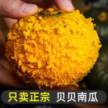贝贝南瓜美团多多大量现货供应电商平台对接一件代发供应电商