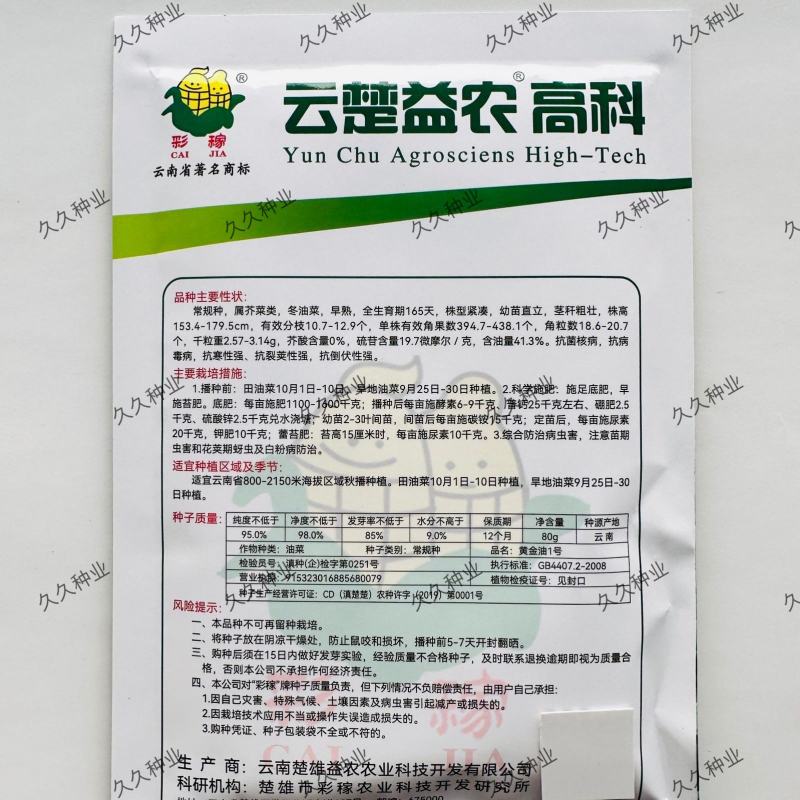 黄金油1号油菜种子黄油菜籽蔬菜种子春秋种植高产油菜花种子