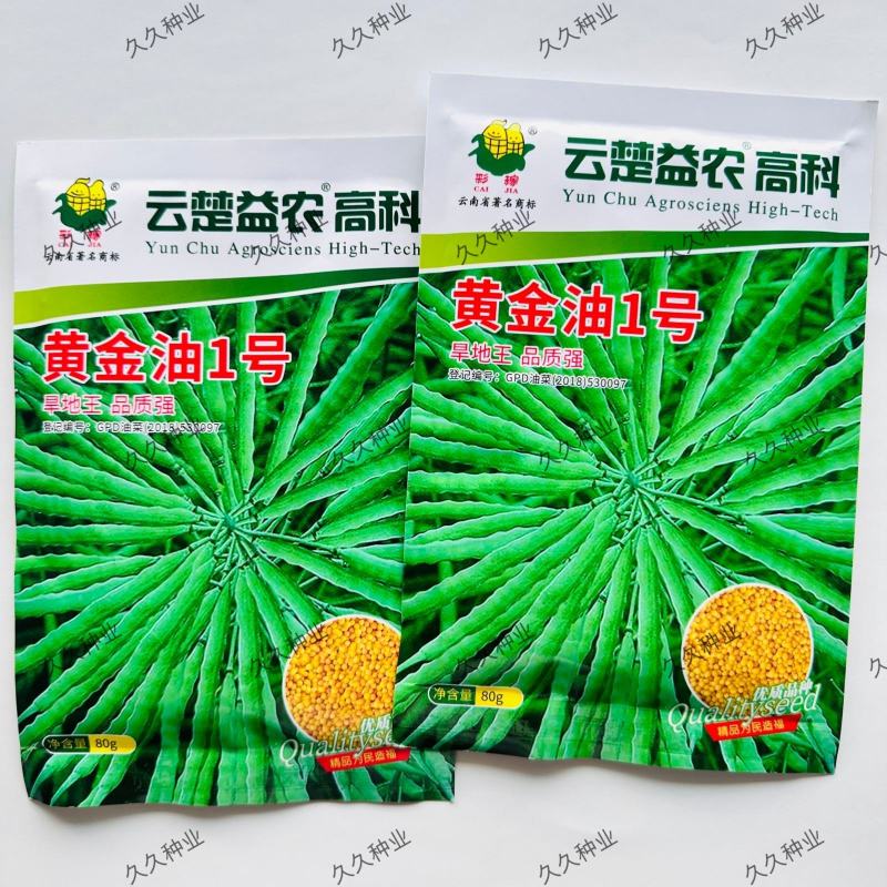 黄金油1号油菜种子黄油菜籽蔬菜种子春秋种植高产油菜花种子