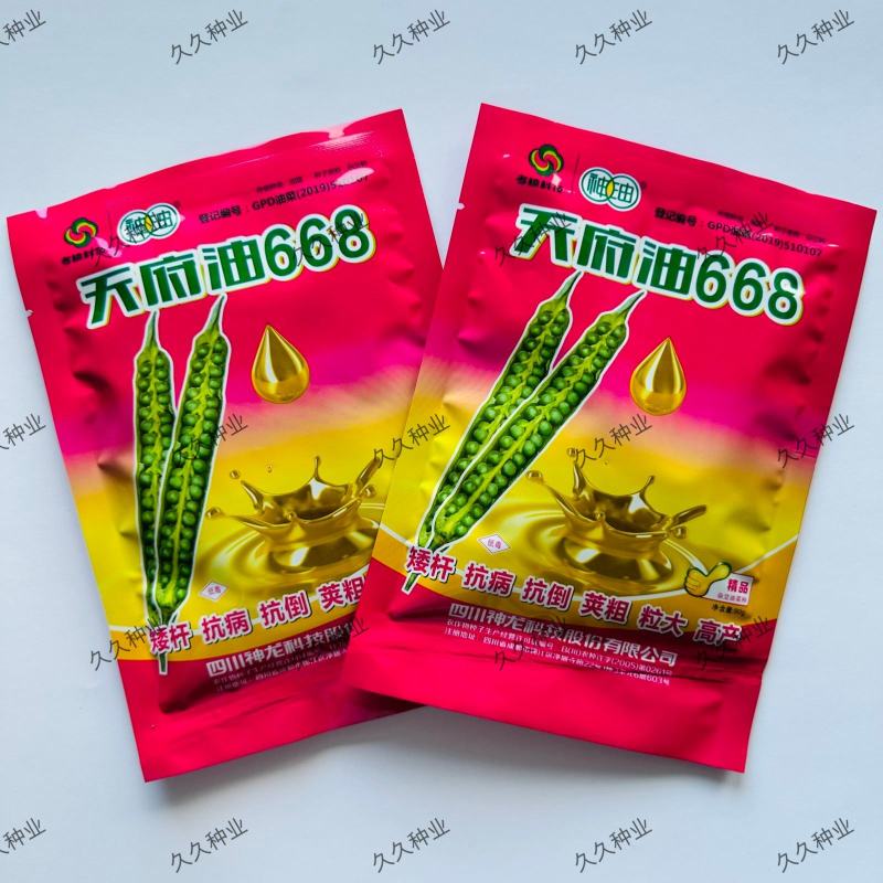 天府油668油菜种籽高产抗病矮杆抗倒油菜籽种农家秋播油菜