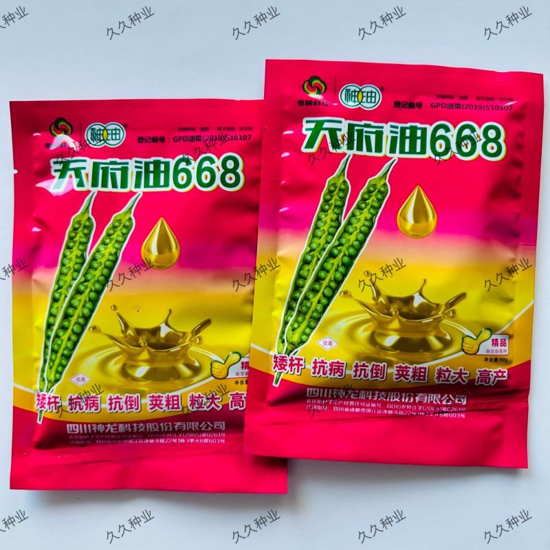 天府油668油菜种籽高产抗病矮杆抗倒油菜籽种农家秋播油菜