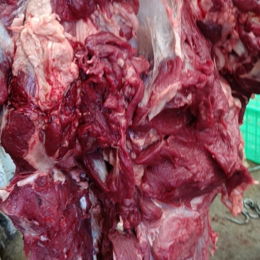 内蒙草地黄牛肉
