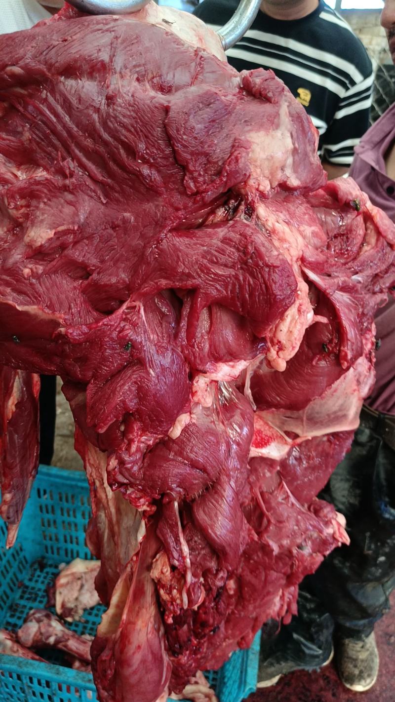内蒙草地黄牛肉