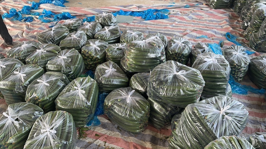 黄瓜在超市货架上的摆放场景,展示其作为常见蔬菜的普及程度 黄瓜在超市货架上的摆放场景