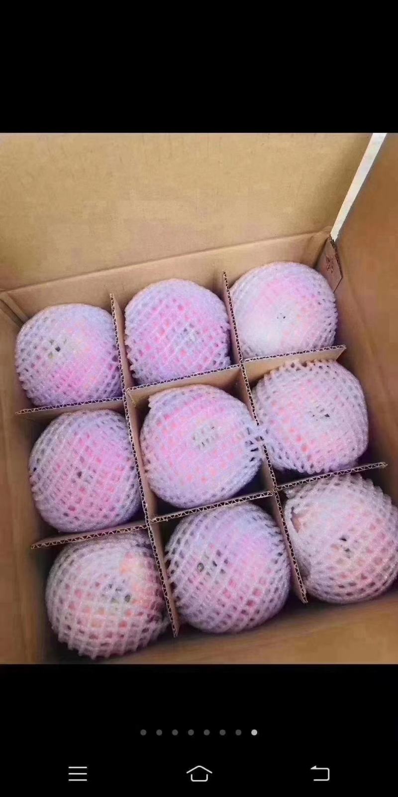 陕西咸阳乾州水晶红富士