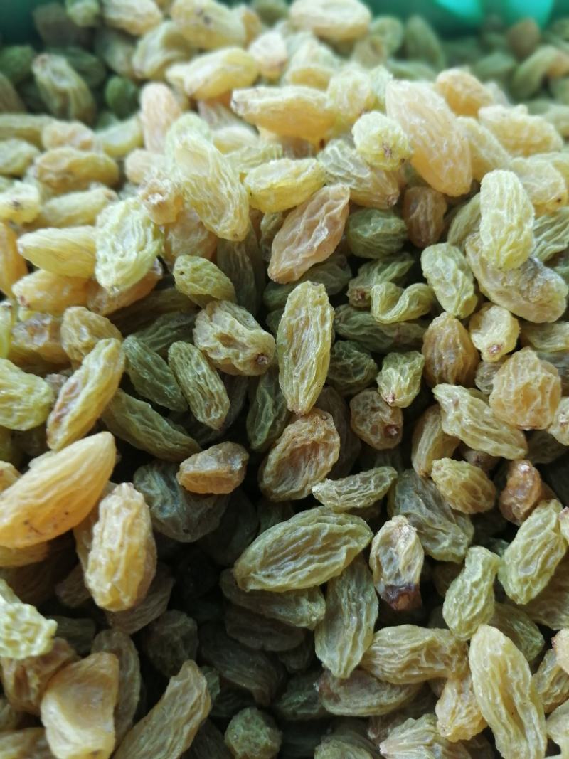 新疆葡萄干货源充足大量批发