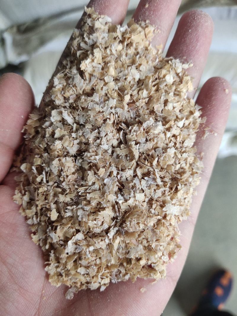厂家直销麦麸大片麦麸小片麸皮规格齐全欢迎选购