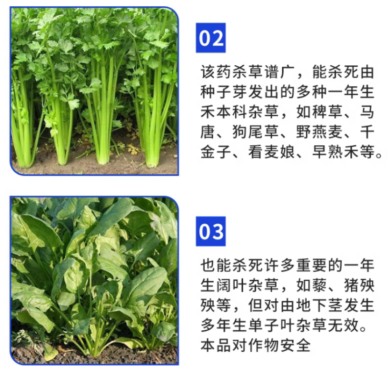 志信惠利50%敌草胺西瓜烟草田苗前芽前土壤除草剂