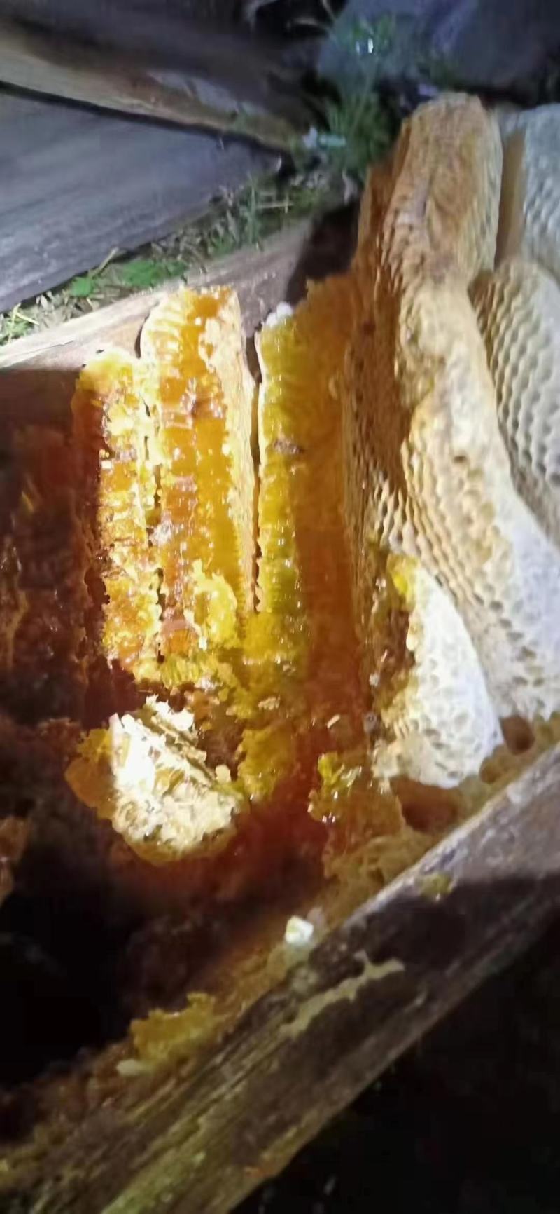 高原蜂蜜