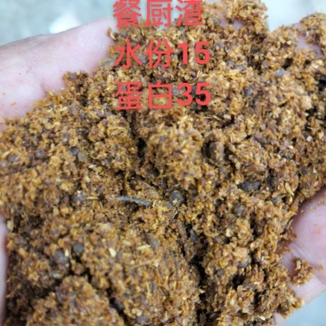 餐厨渣就是日常大家用餐过后的一切剩饭剩菜的残渣！纯蛋白高