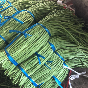 广西柳州精品长豆角