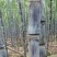 【精选甘蔗】黑皮甘蔗广东产地直发量大从优来电优惠