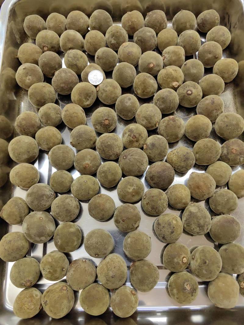 包邮正毛化州橘红片圆果片橘红压果片一手货源