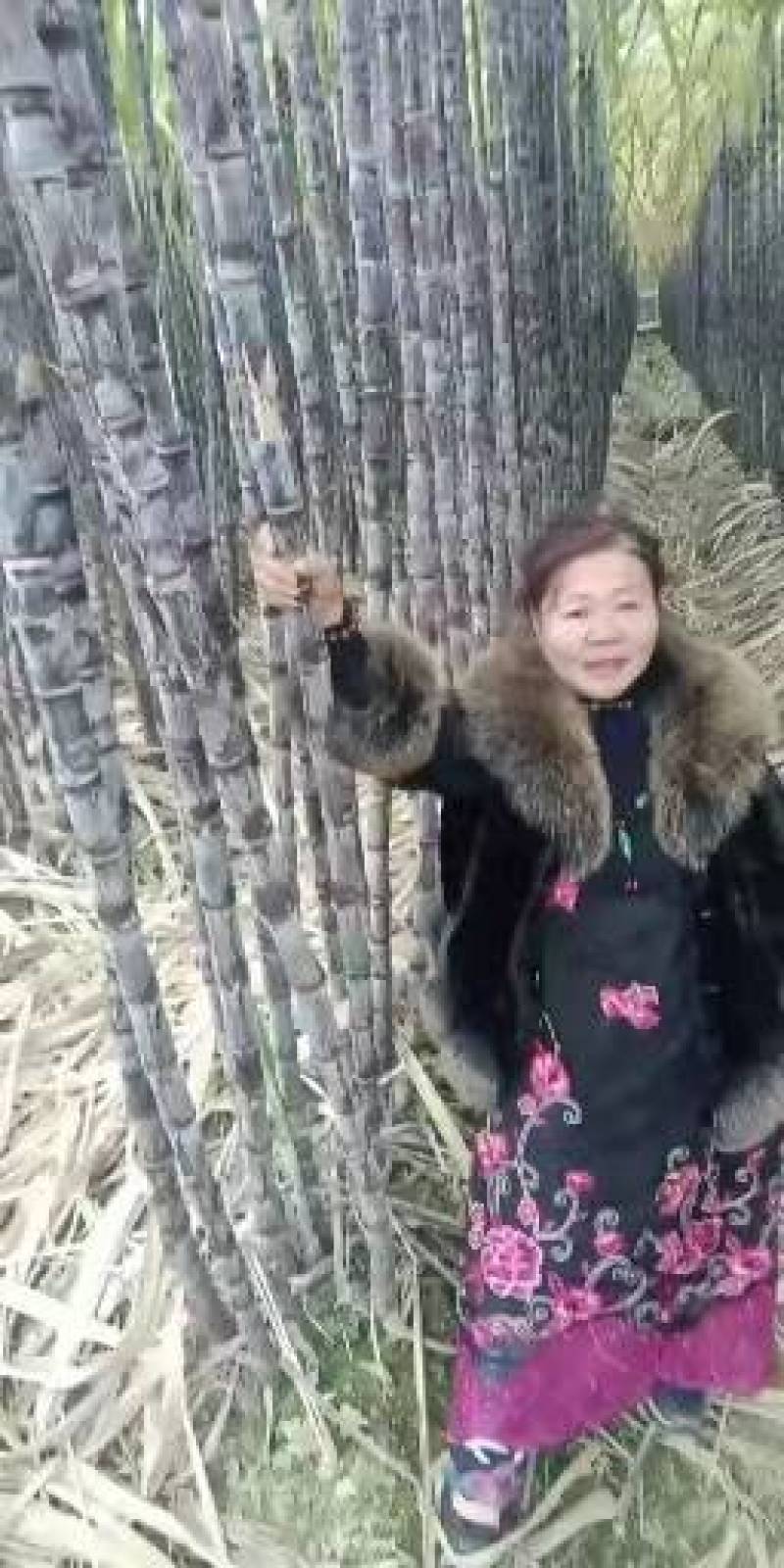 【精选甘蔗】黑皮甘蔗广东产地直发量大从优来电优惠