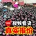 【食堂市场赶集货】山东莘县圆茄子《加工厂社区电商》