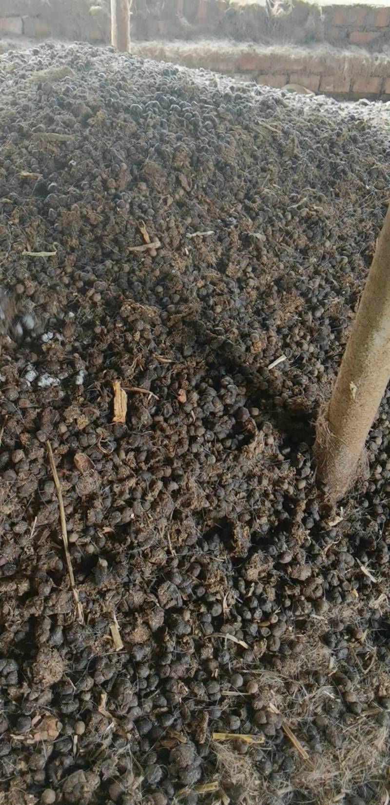 羊粪蛋，纯颗粒羊粪蛋，原生态无杂质