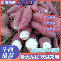 河南南阳市西峡县精品商薯19红薯，红土地，无虫眼，一手货源。