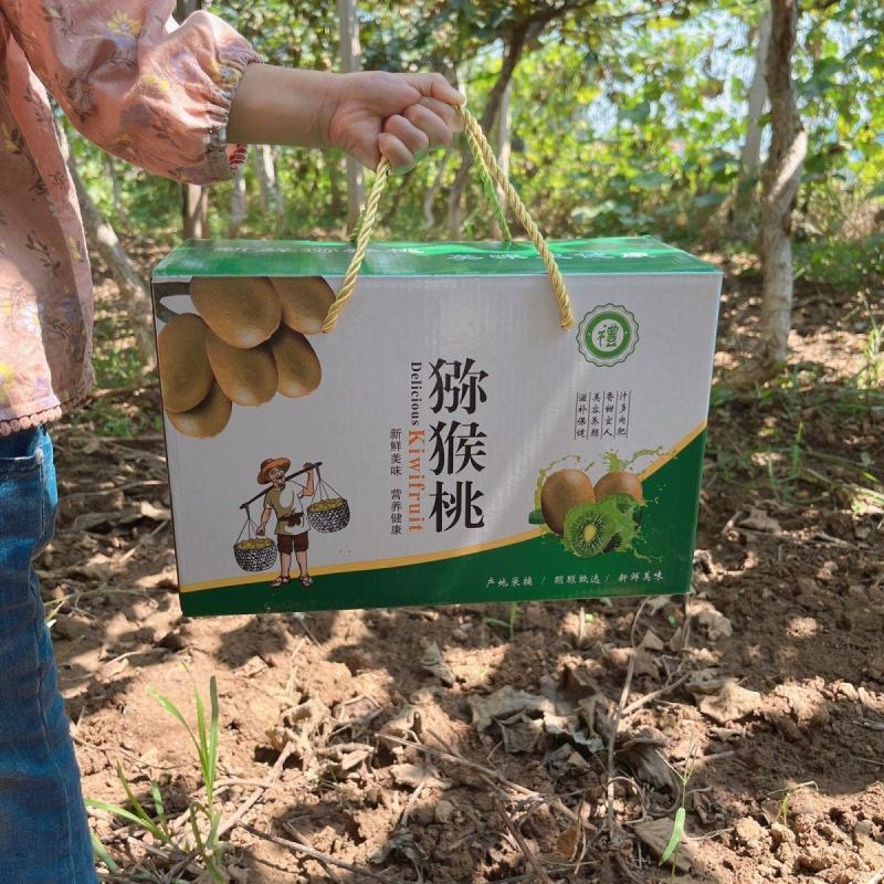 猕猴桃大量供应香甜多汁产地现摘现发价格便宜