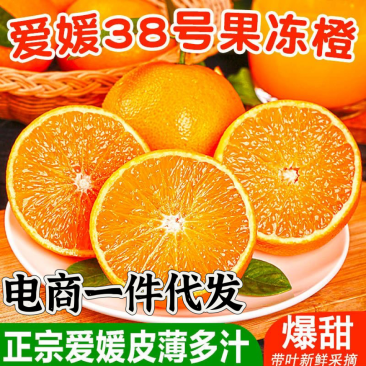 四川眉山爱媛38号果冻橙柑橘承接抖音快手电商一件代发