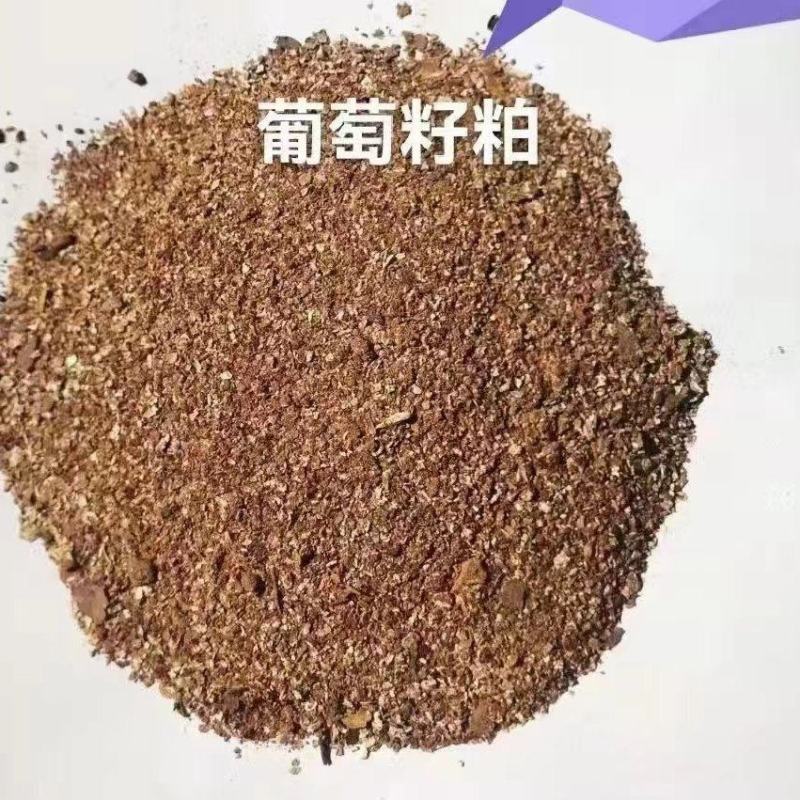 葡萄籽粕