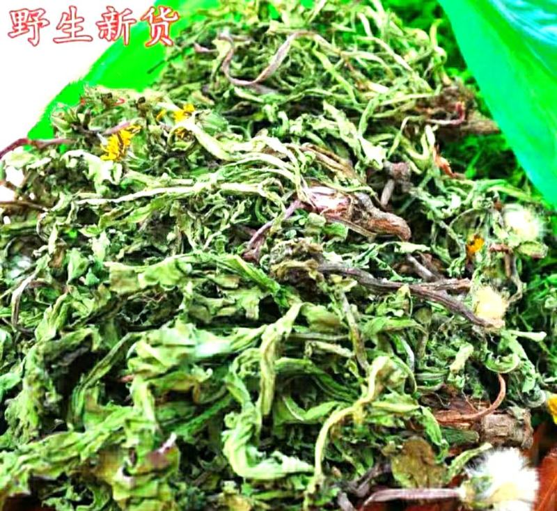 蒲公英道地中药材整棵蒲公英带花带根叶蒲公英养生茶