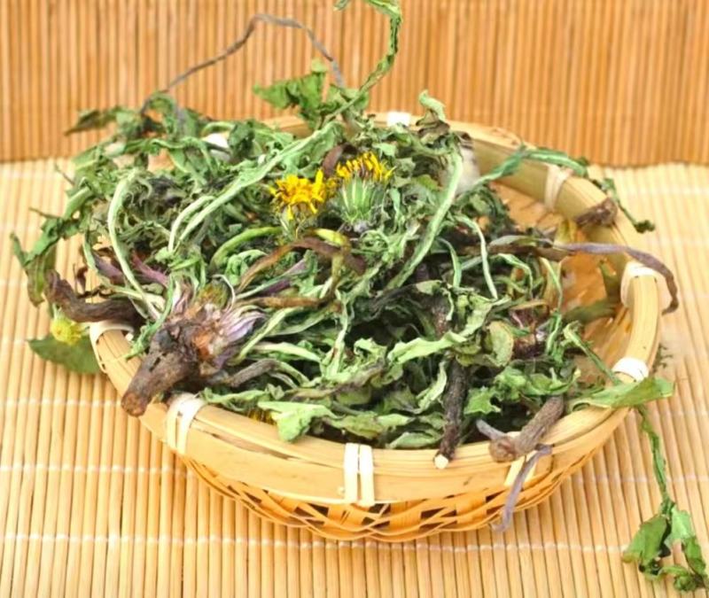 蒲公英道地中药材整棵蒲公英带花带根带叶泡水泡茶包邮