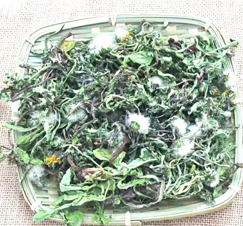 蒲公英道地中药材整棵蒲公英带花带根带叶泡水泡茶包邮
