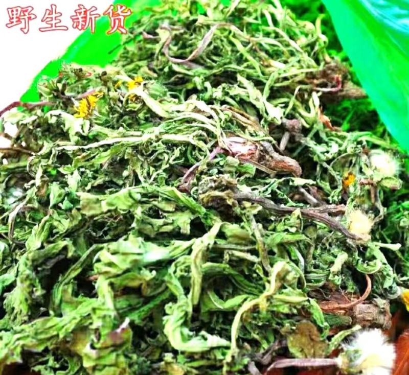蒲公英道地中药材整棵蒲公英带花带根带叶泡水泡茶包邮