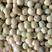 豌豆种子大黑眉豌豆种子生产豌豆苗主要品种嫩脆粗胖