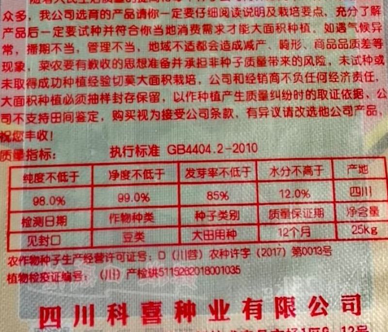 豌豆种子大黑眉豌豆种子生产豌豆苗主要品种嫩脆粗胖
